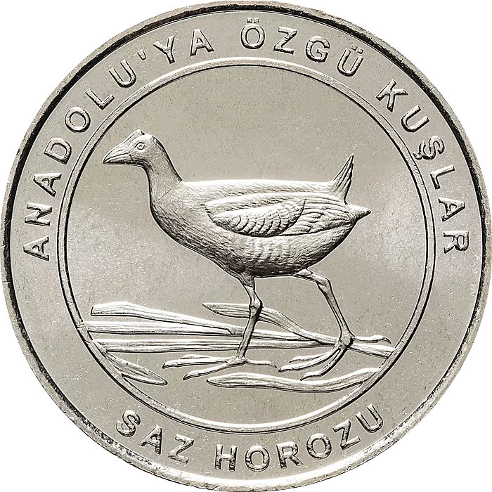 Saz Horozu